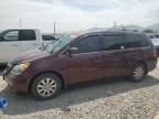 2009 Honda Odyssey exl