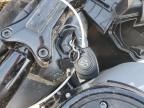 2024 Harley-Davidson Fltrx