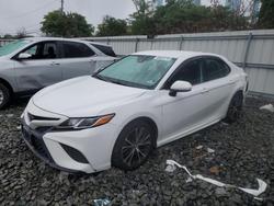 2019 Toyota Camry l en venta en Windsor, NJ
