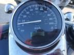 2005 Honda VT750 DC