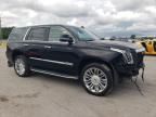 2015 Cadillac Escalade Platinum