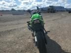 2024 Kawasaki EX650 P