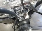 2013 Harley-Davidson Flstc Shrine