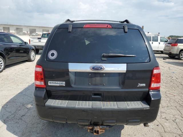 2011 Ford Escape Limited