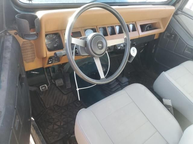 1995 Jeep Wrangler / YJ S