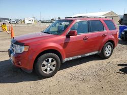 2011 Ford Escape Limited for sale in Brighton, CO
