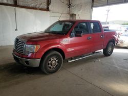2012 Ford F150 Supercrew for sale in Lexington, KY