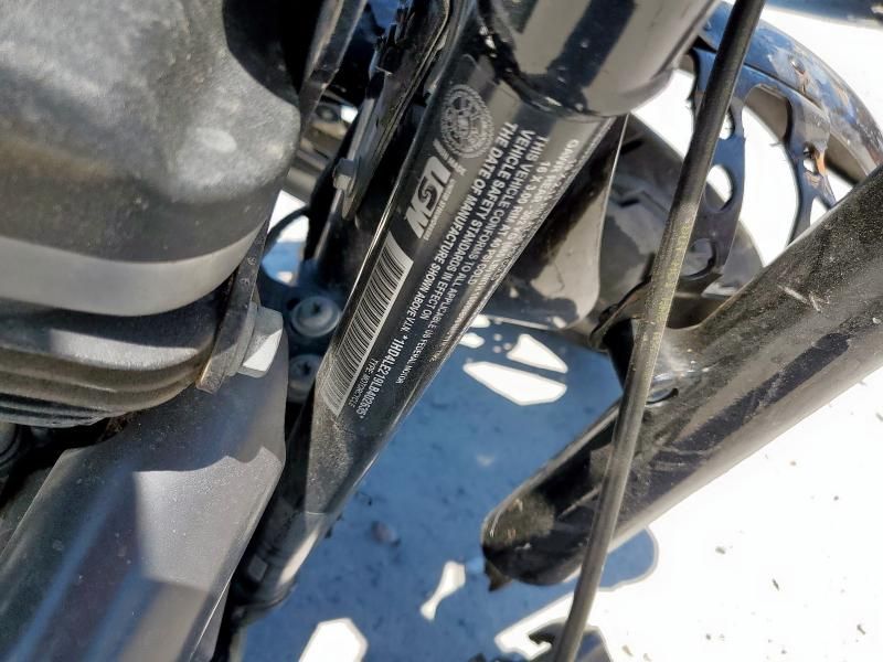 2020 Harley-Davidson XL883 N