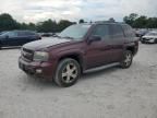 2007 Chevrolet Trailblazer LS
