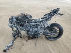2025 Yamaha YZFR7