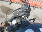 2024 Harley-Davidson Fxbbs