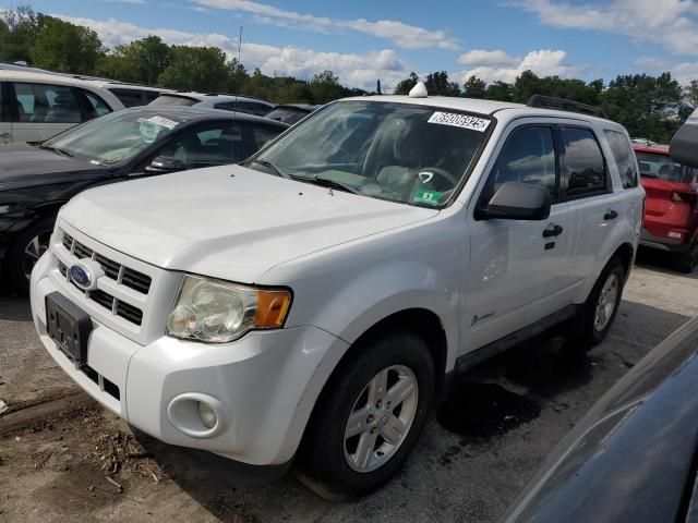 2011 Ford Escape Hybrid