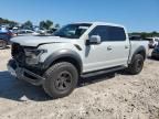 2017 Ford F150 Raptor