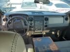 2010 Ford F150