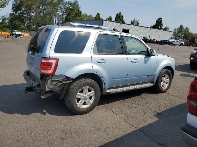 2008 Ford Escape HEV