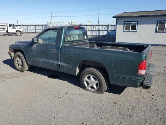 2000 Dodge Dakota