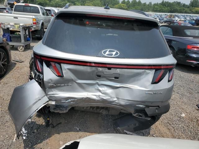 2024 Hyundai Tucson sel Convenience