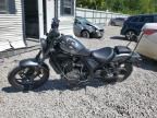 2023 Honda CMX1100 A
