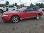 2000 Ford Mustang gt