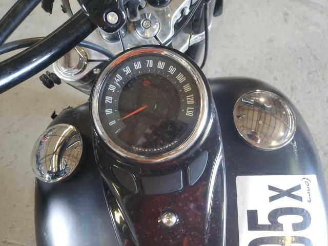 2020 Harley-Davidson Flsl