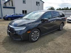 2022 Honda Odyssey exl en venta en Windsor, NJ