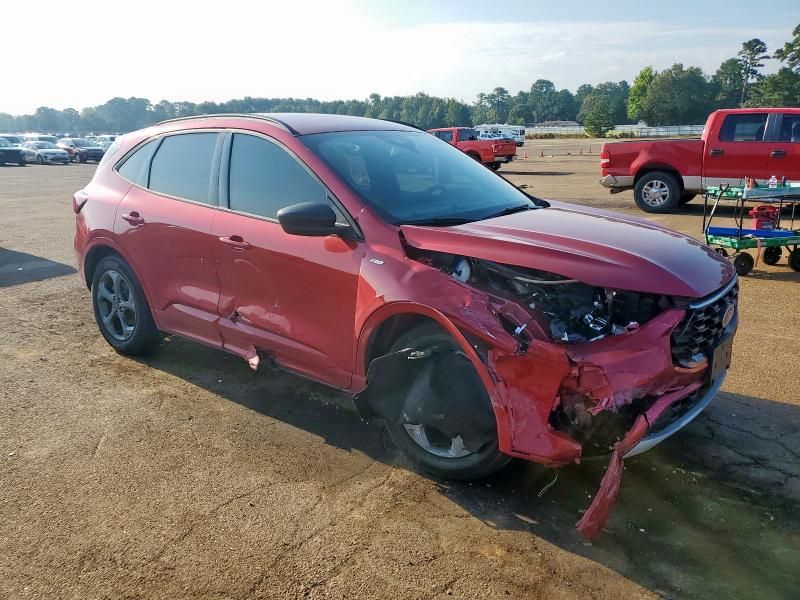 2024 Ford Escape ST Line