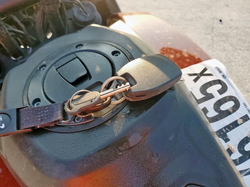 2024 Harley-Davidson RA1250 S