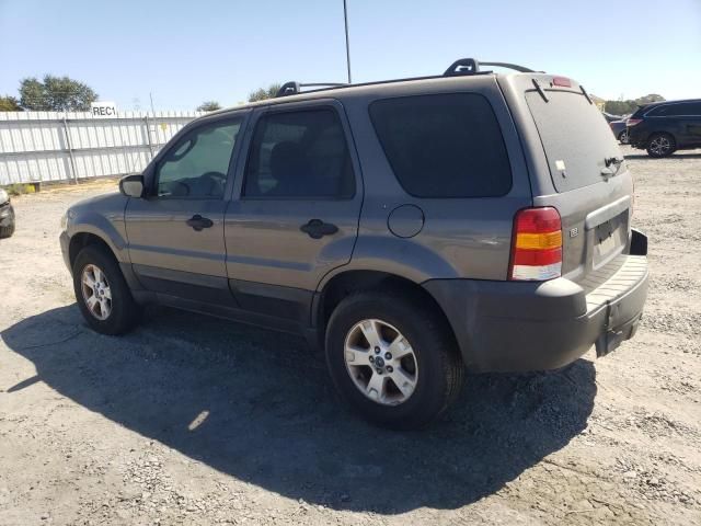 2005 Ford Escape XLT