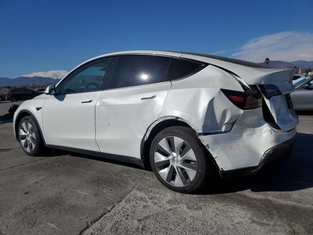 2020 Tesla Model Y