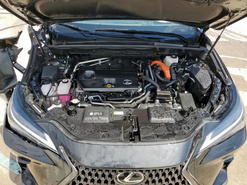 2024 Lexus NX 350H Base