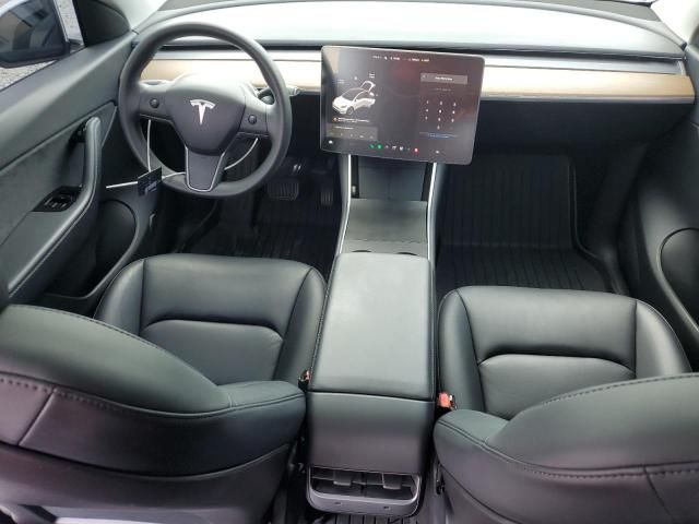 2020 Tesla Model Y