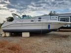 1995 Sea Ray Sundancer