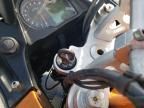 2013 Moto Guzzi Stelvio 1200