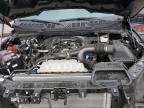 2024 Ford F150 XL