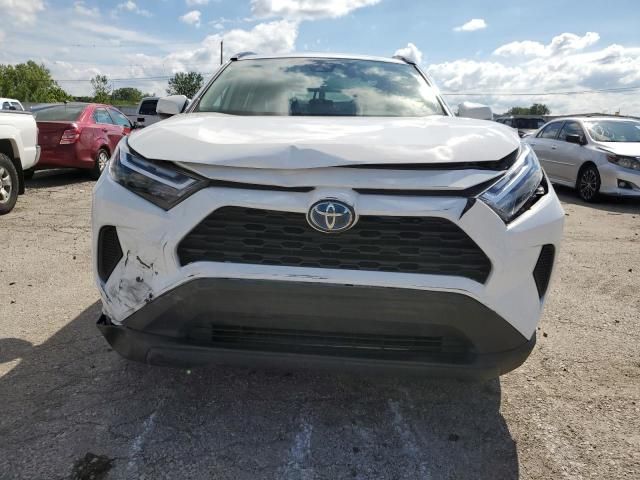 2024 Toyota Rav4 xle
