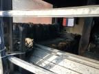 2020 Wildcat Travel Trailer