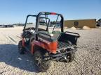 2009 Arctic Cat Cat