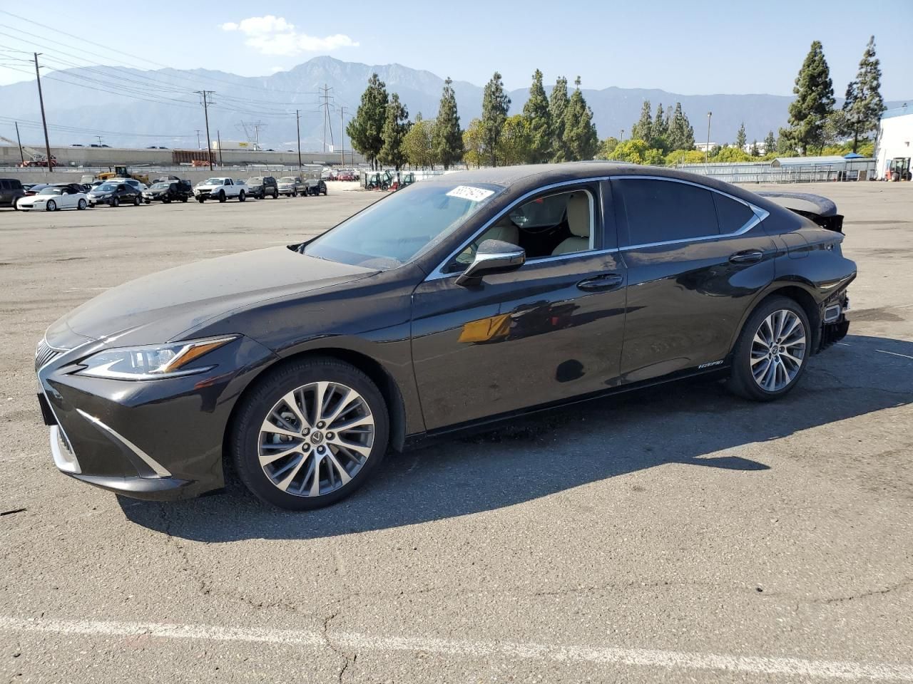 2021 Lexus Es 300h