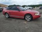 2000 Ford Mustang gt