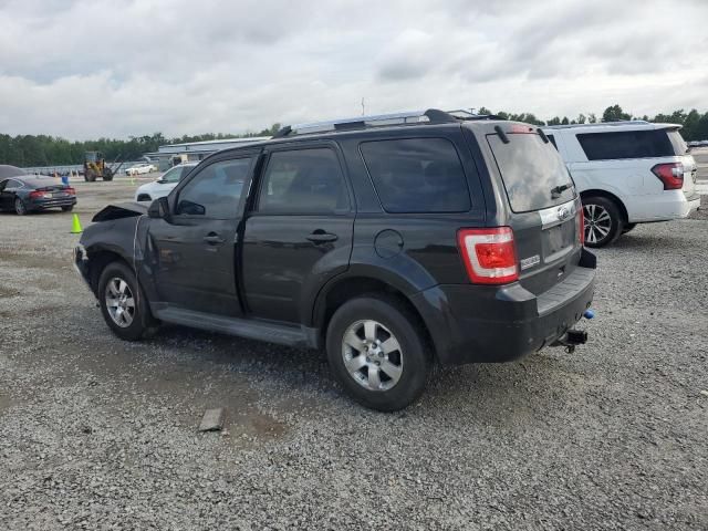 2011 Ford Escape Limited