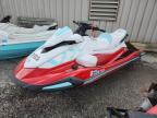2025 YAM Jetski