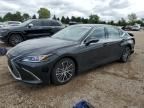 2023 Lexus Es 300h Base