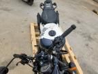 2024 Royal Enfield Motors Shotgun 650