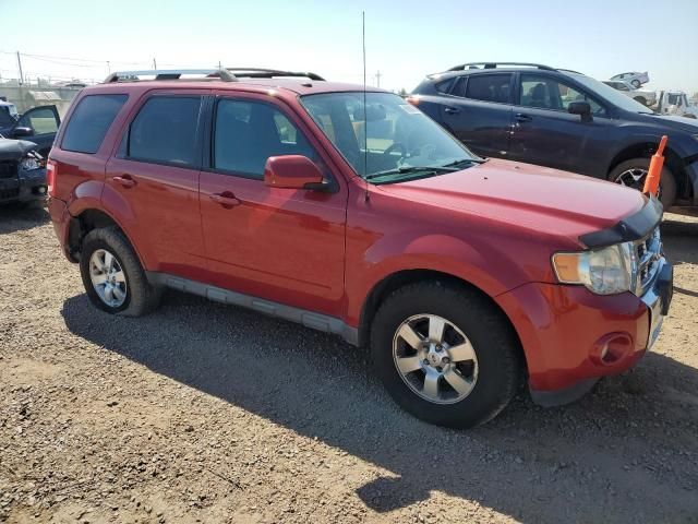 2011 Ford Escape Limited