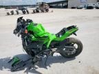 2024 Kawasaki EX650 P