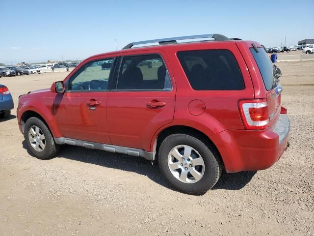 2011 Ford Escape Limited