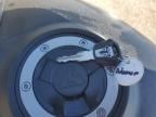 2023 Triumph Trident 660