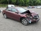 2010 Honda Accord EX