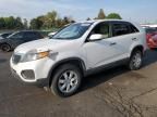 2011 KIA Sorento Base