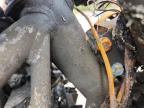 2005 Ducati Supersport 800